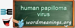 WordMeaning blackboard for human papilloma virus
